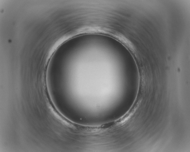 X0000070361382200606091021