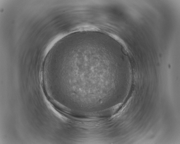 X0000070361383200606091021