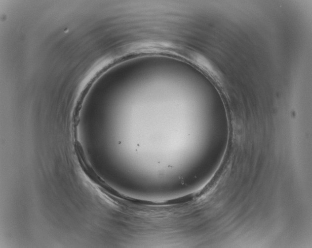 X0000070361384200606091020