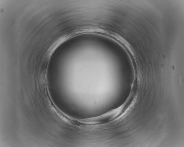 X0000070361385200606091020