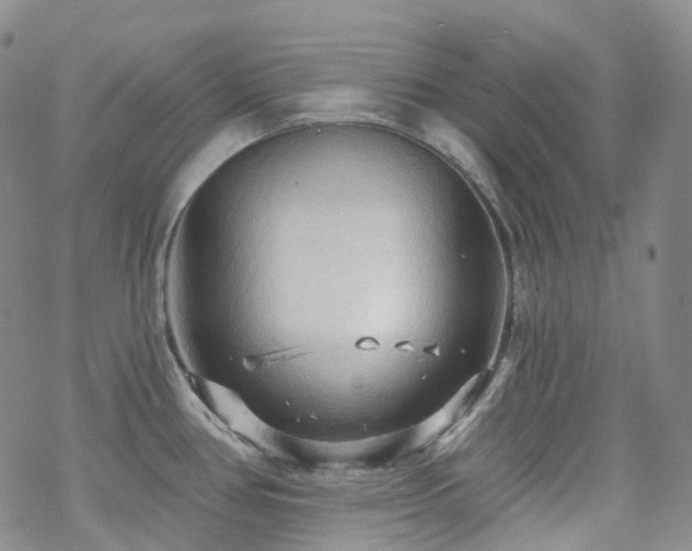 X0000070361386200606091020