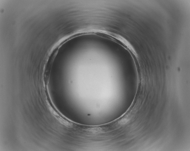 X0000070361388200606091020