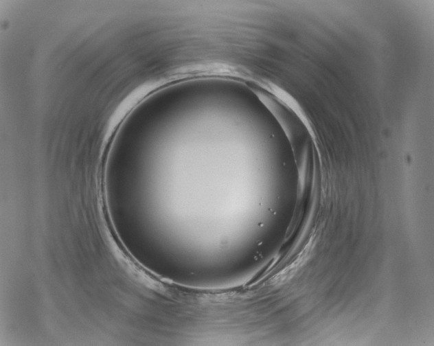 X0000070361389200606091020