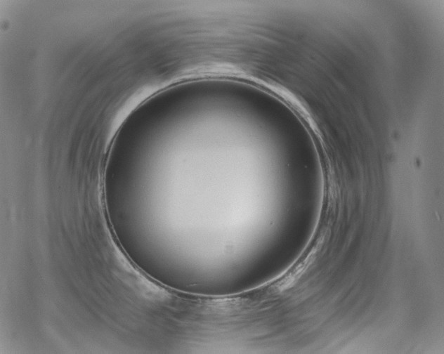 X0000070361390200606091020