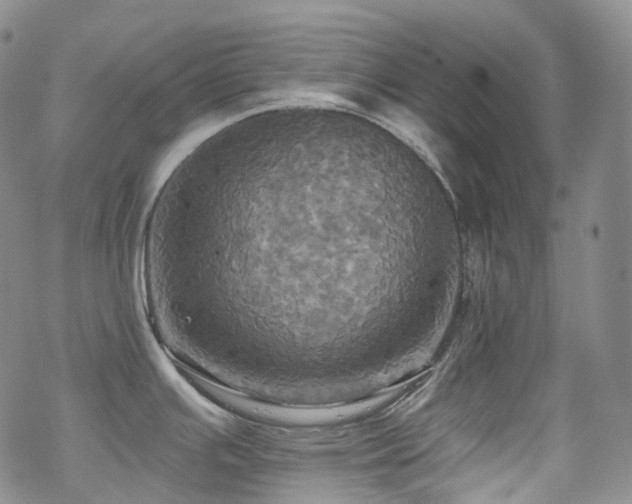 X0000070361391200606091020