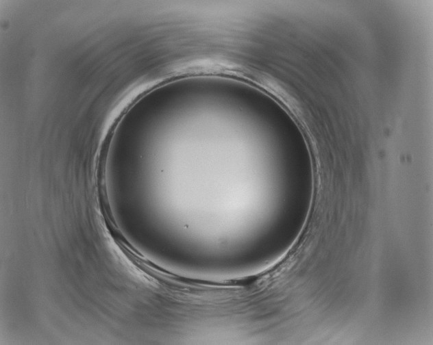 X0000070361392200606091020