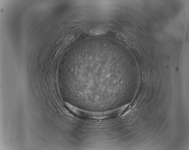 X0000070361393200606091020