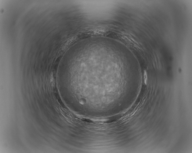 X0000070361395200606091020