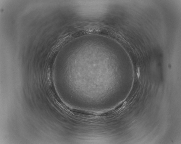 X0000070361396200606091020