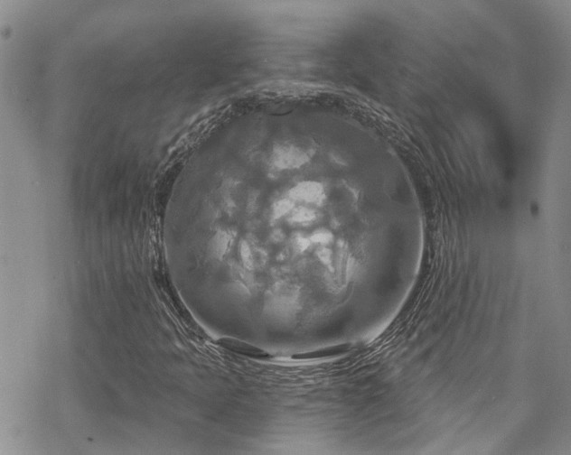 X0000070361397200606091020