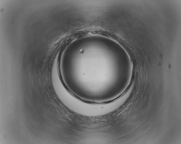 X0000070361398200606091020