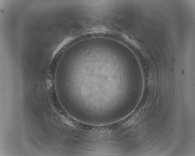 X0000070361400200606091020