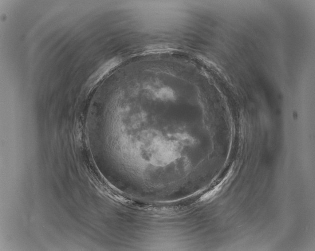 X0000070361401200606091020