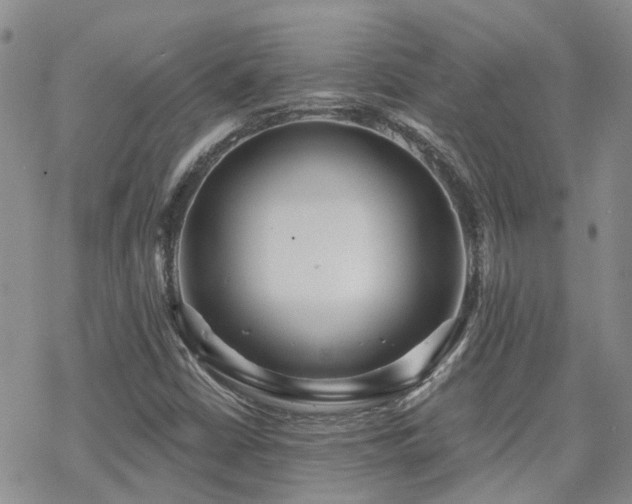 X0000070361402200606091020