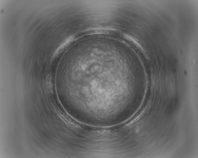 X0000070361403200606091020