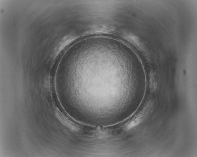 X0000070361404200606091020