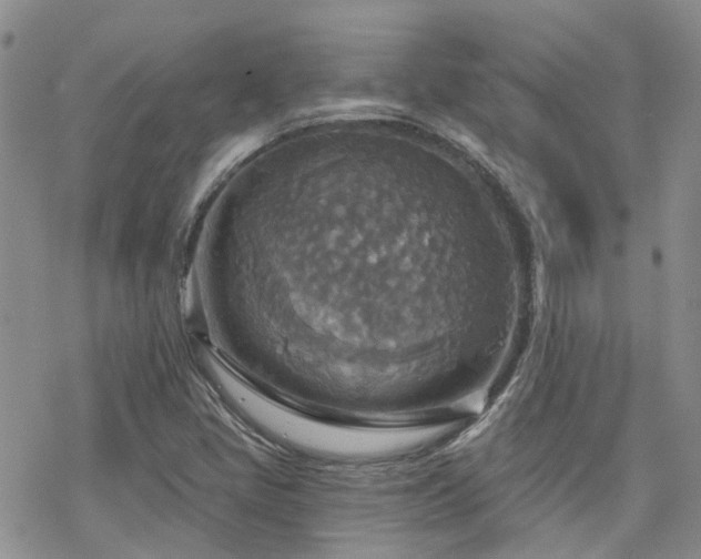 X0000070361405200606091020