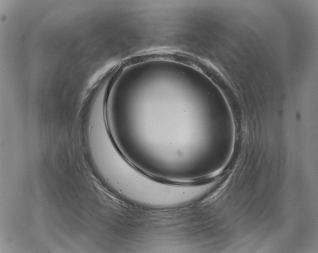 X0000070361406200606091020