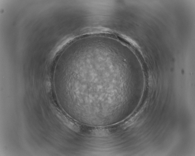 X0000070361407200606091020