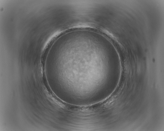 X0000070361408200606091020