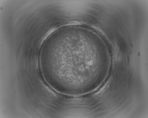 X0000070361409200606091020