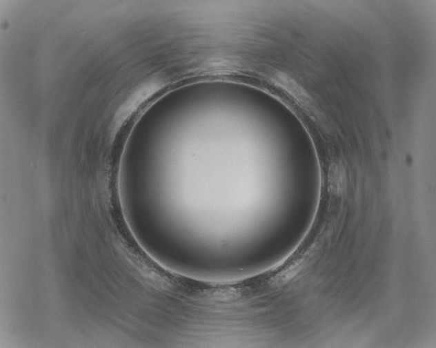 X0000070361410200606091020