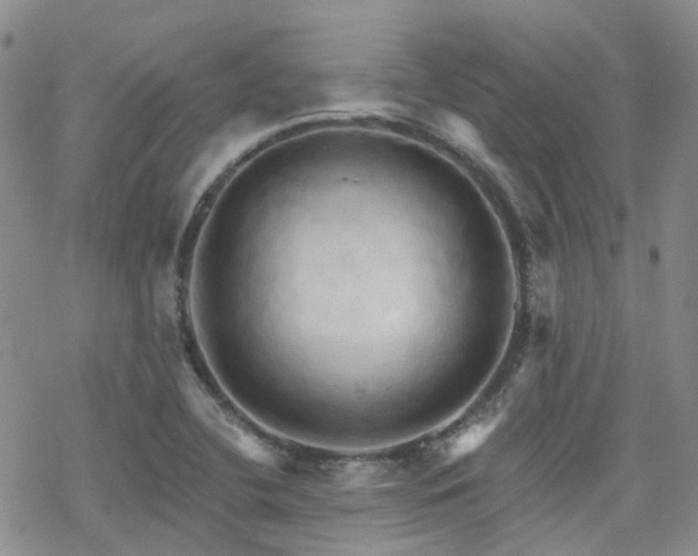 X0000070361412200606091020