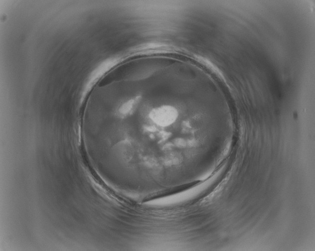 X0000070361413200606091020