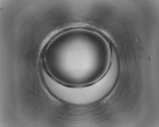 X0000070361414200606091020