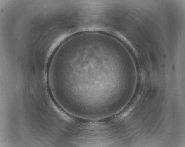 X0000070361416200606091020