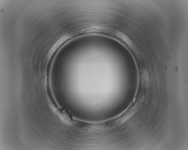 X0000070361418200606091020