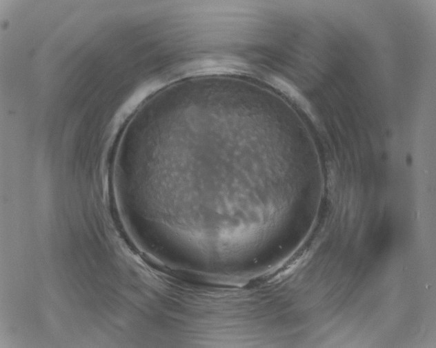 X0000070361419200606091020