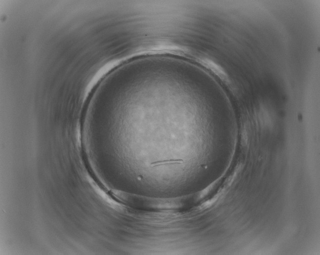 X0000070361420200606091020