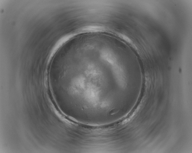 X0000070361421200606091020