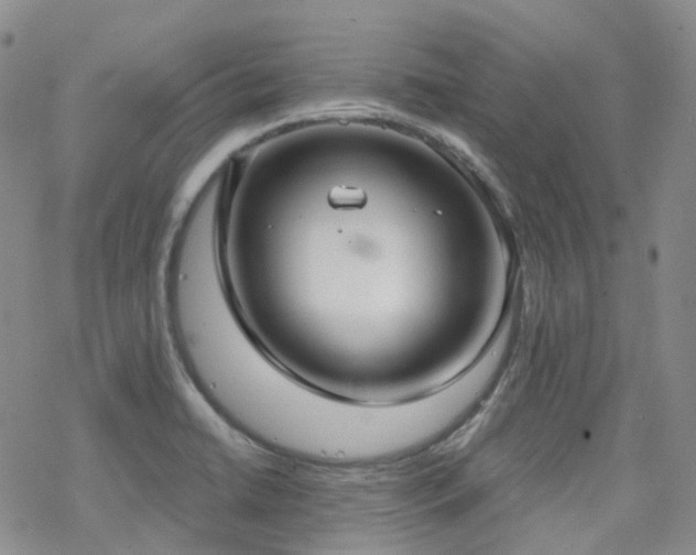 X0000070361422200606091020