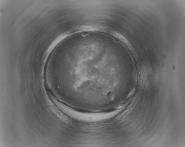 X0000070361427200606091020