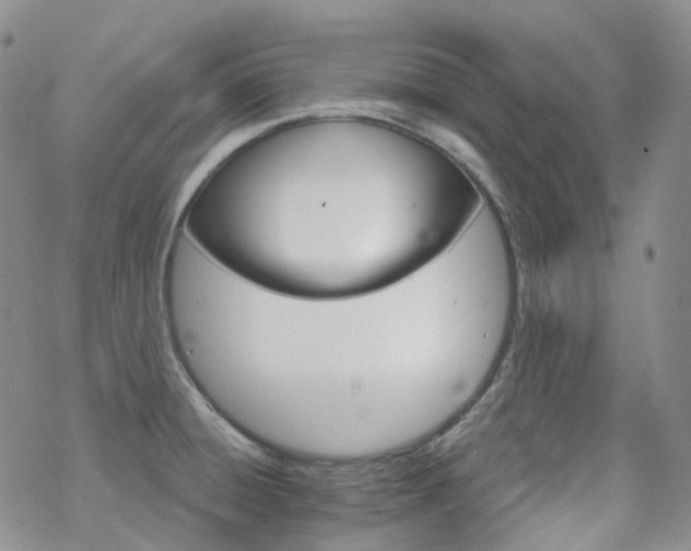 X0000070361428200606091020