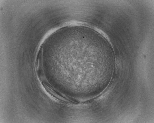 X0000070361429200606091020