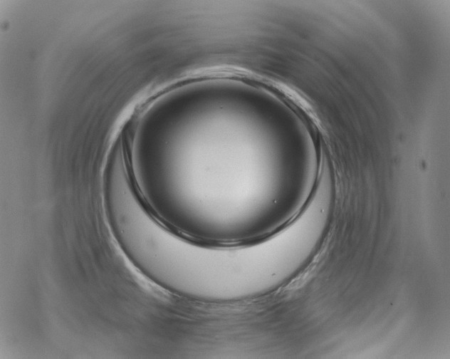 X0000070361430200606091020