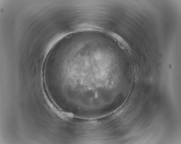 X0000070361431200606091020