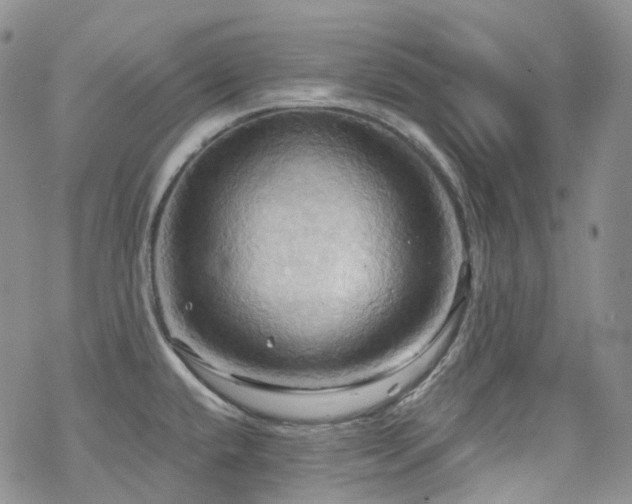 X0000070361432200606091020