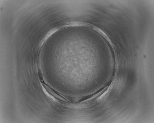 X0000070361433200606091020