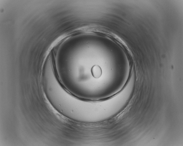 X0000070361434200606091020