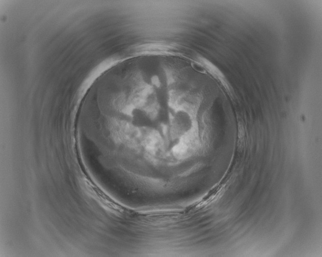 X0000070361435200606091020