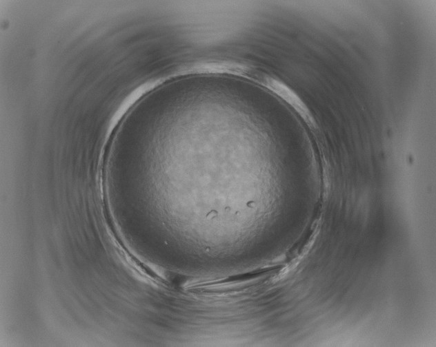 X0000070361436200606091020