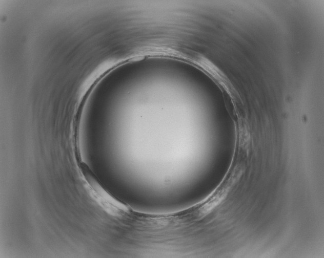 X0000070361438200606091020