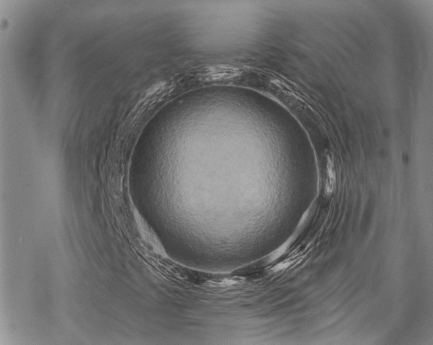 X0000070361441200606091020