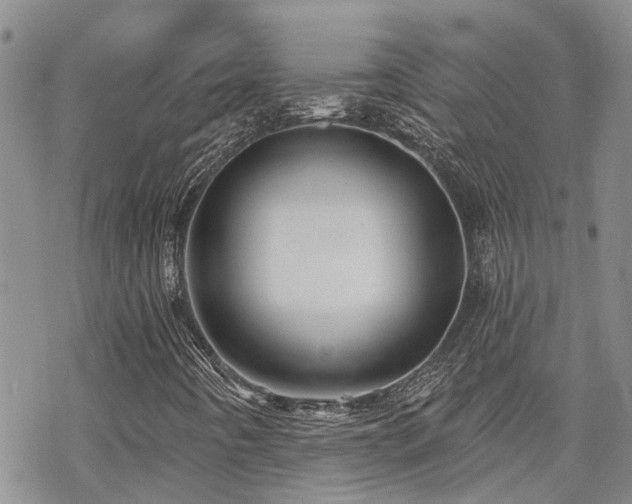 X0000070361442200606091020