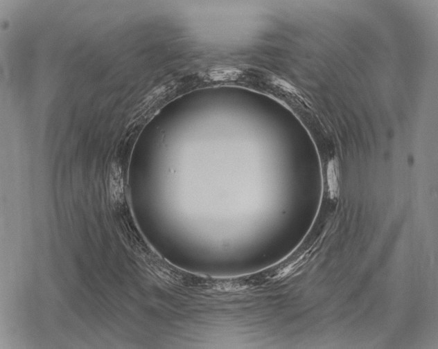 X0000070361443200606091020