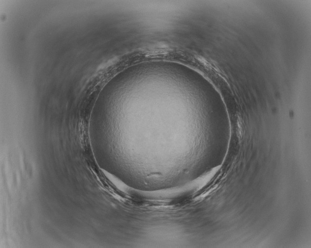 X0000070361445200606091020